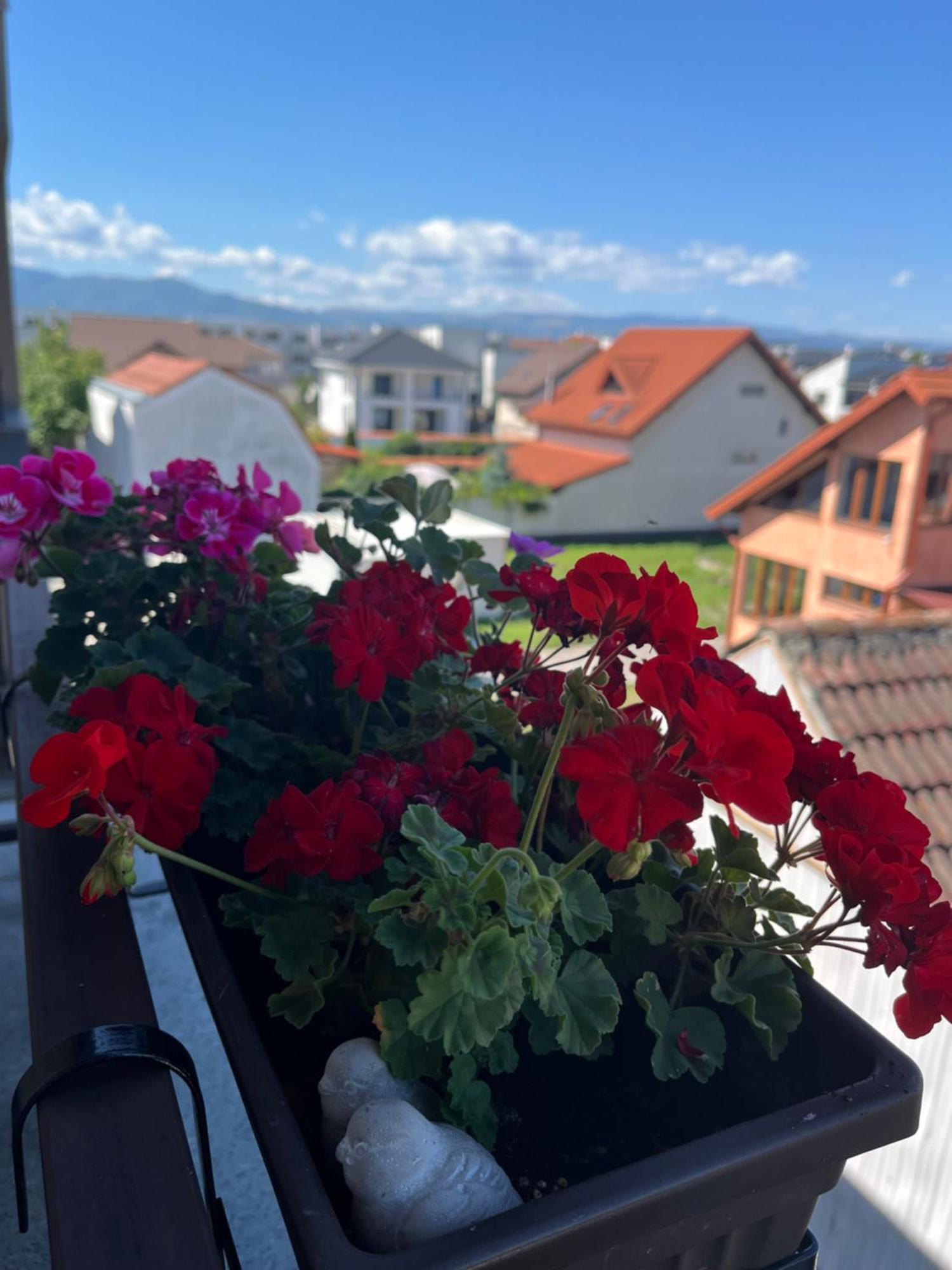 Apartament Acasa Sibiu Ngoại thất bức ảnh